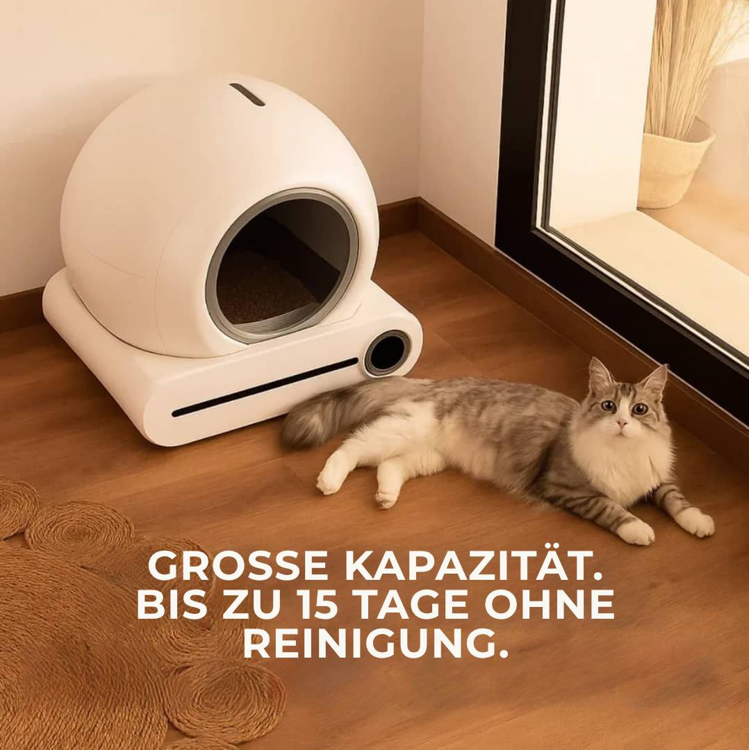 Lona – Der intelligente Sandkasten, der sich selbst reinigt