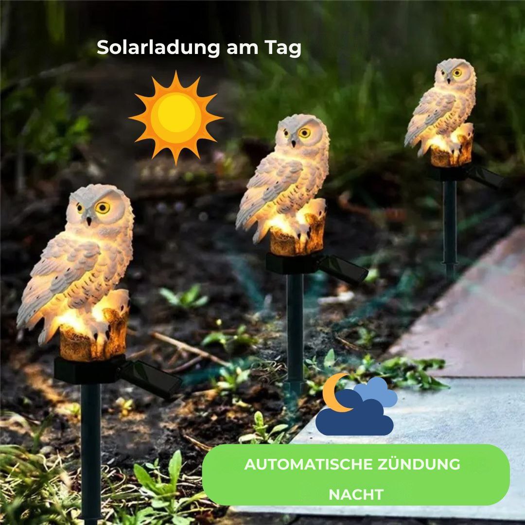 Solar-LED-Eule MagicNight